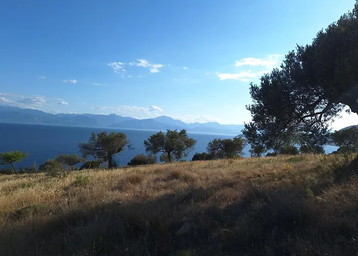 Villa Physis Fokida Eratini